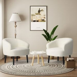 Ultimate Cushion Chair Cleaning